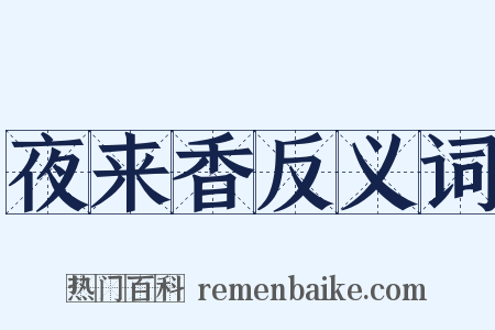 夜来香反义词是什么意思的图片